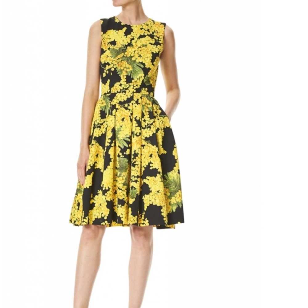 Carolina Herrera NY Floral Print Dress Size 2 Luxury Knee Length